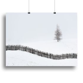 The Larch Behind The Fence Canvas Print or Poster (Type: Standard Framed Canvas Print, size: 40" x 26" / 100cm x 65cm (approx))