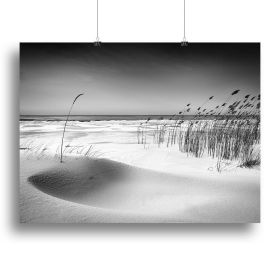 Orchestra Canvas Print or Poster (Type: Standard Framed Canvas Print, size: 28" x 20" / 70cm x 50cm (approx))