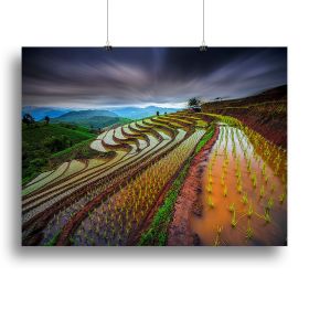 Unseen Rice Field Canvas Print or Poster (Type: Poster Print, size: 12" x 8" / 30cm x 20cm (approx))