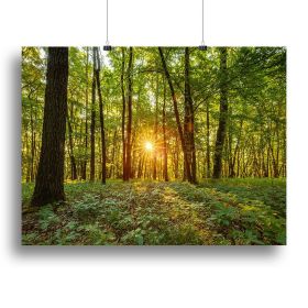 Dawn in the forest of Bavaria Canvas Print or Poster (Type: Poster Print, size: 12" x 8" / 30cm x 20cm (approx))
