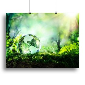 crystal globe on moss in a forest Canvas Print or Poster (Type: Poster Print, size: 16" x 12" / 42cm x 30cm (approx))