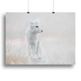 Fox Looking around Canvas Print or Poster (Type: Poster Print, size: 32" x 24" / 80cm x 60cm (approx))