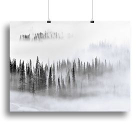 Foggy Forest Canvas Print or Poster (Type: Standard Framed Canvas Print, size: 28" x 20" / 70cm x 50cm (approx))