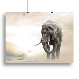 African elephant male walking alone in desert at sunset Canvas Print or Poster (Type: Standard Framed Canvas Print, size: 40" x 26" / 100cm x 65cm (approx))