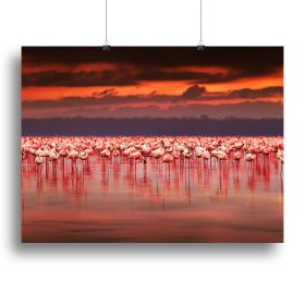 African flamingos in the lake Canvas Print or Poster (Type: Poster Print, size: 24" x 16" / 60cm x 40cm (approx))