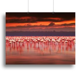 African flamingos in the lake Canvas Print or Poster (Type: Poster Print, size: 32" x 24" / 80cm x 60cm (approx))