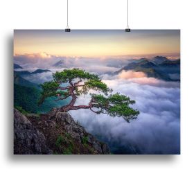 On The Rock Canvas Print or Poster (Type: Poster Print, size: 12" x 8" / 30cm x 20cm (approx))