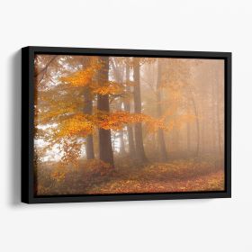 Edge Of The Woods Floating Framed Canvas (Color: Black, size: 24" x 16" / 60cm x 40cm (approx))