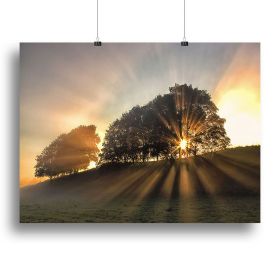 The Small Deer Canvas Print or Poster (Type: Poster Print, size: 28" x 20" / 70cm x 50cm (approx))