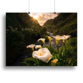 Calla Lily World Canvas Print or Poster (Type: Standard Framed Canvas Print, size: 40" x 26" / 100cm x 65cm (approx))