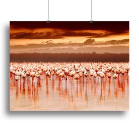 African flamingos in the lake over beautiful sunset Canvas Print or Poster (Type: Standard Framed Canvas Print, size: 40" x 26" / 100cm x 65cm (approx))