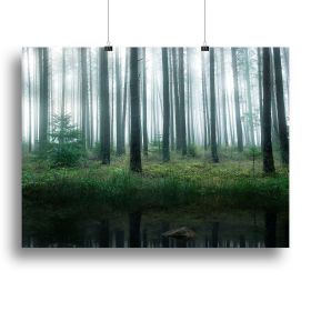 Lake In Forest Canvas Print or Poster (Type: Poster Print, size: 32" x 24" / 80cm x 60cm (approx))