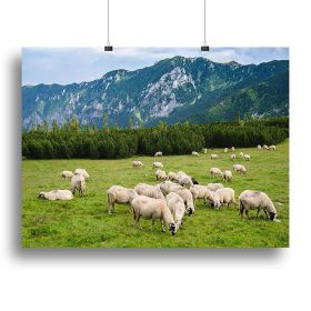 Sheep herds at alpine pastures Canvas Print or Poster (Type: Poster Print, size: 40" x 26" / 100cm x 65cm (approx))
