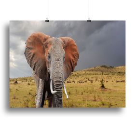Elephant in National park of Kenya Canvas Print or Poster (Type: Poster Print, size: 32" x 24" / 80cm x 60cm (approx))