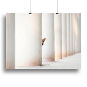 Bella and the Pillars of the Earth Canvas Print or Poster (Type: Standard Framed Canvas Print, size: 40" x 26" / 100cm x 65cm approx)