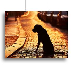 Silhouette of the dog on the street at sunset Canvas Print or Poster (Type: Standard Framed Canvas Print, size: 40" x 26" / 100cm x 65cm (approx))